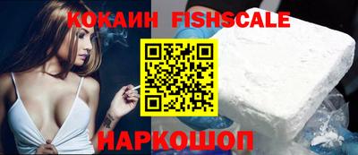 гидра Гай