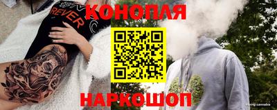 гидра Гай