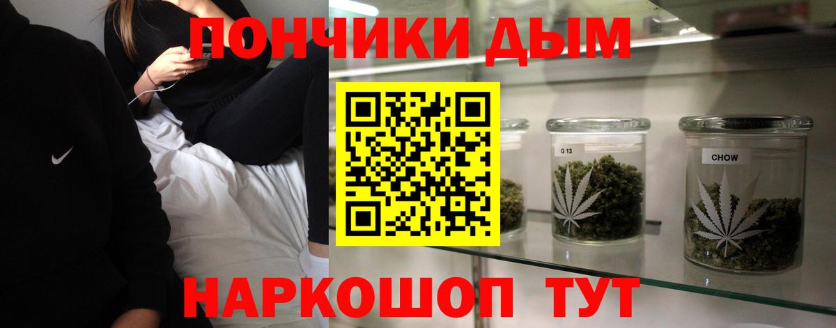 Шишки марихуана план Выборг